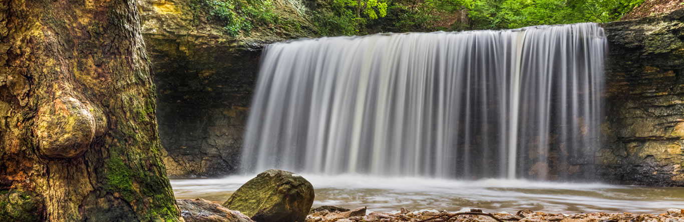 waterfall in forest